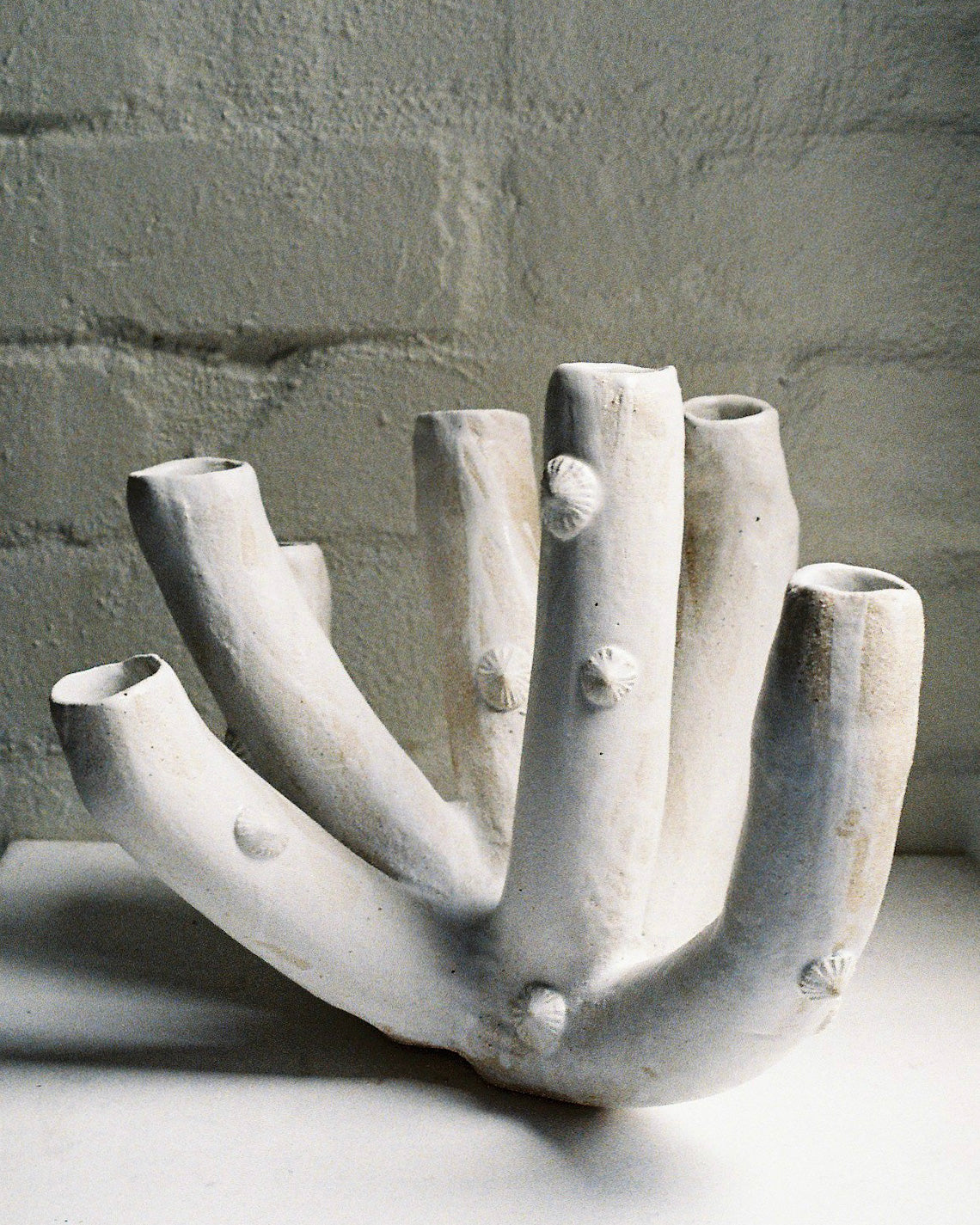 Vase I Intertidal Series