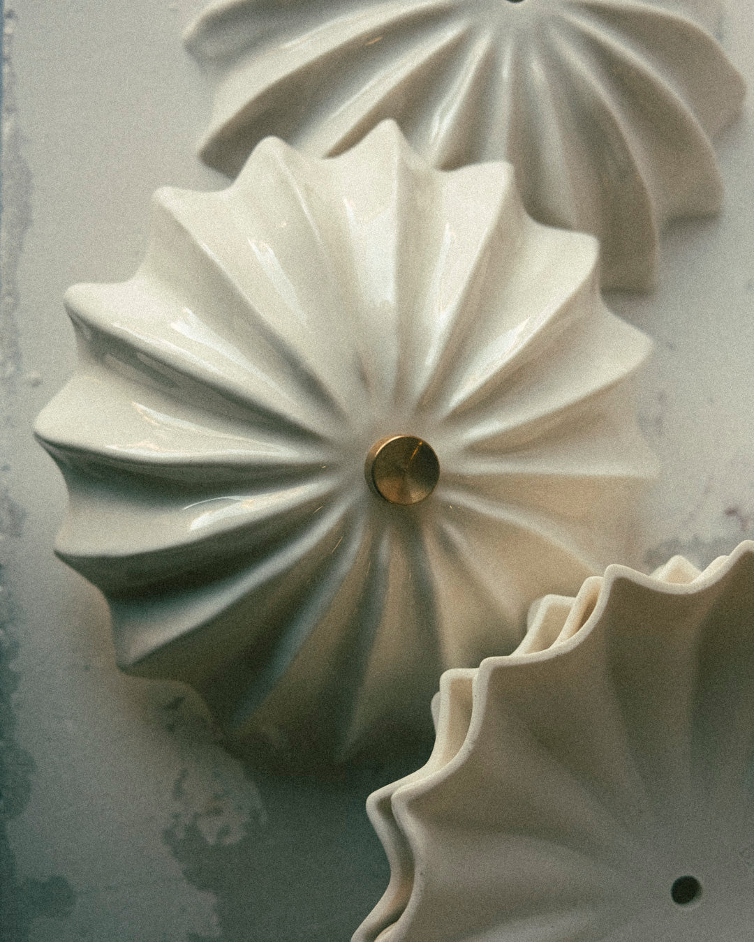 Hexacorallia Sconce - Preorder