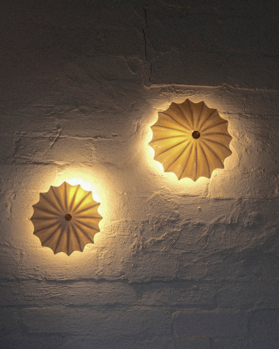 Petite Hexacorallia Sconce