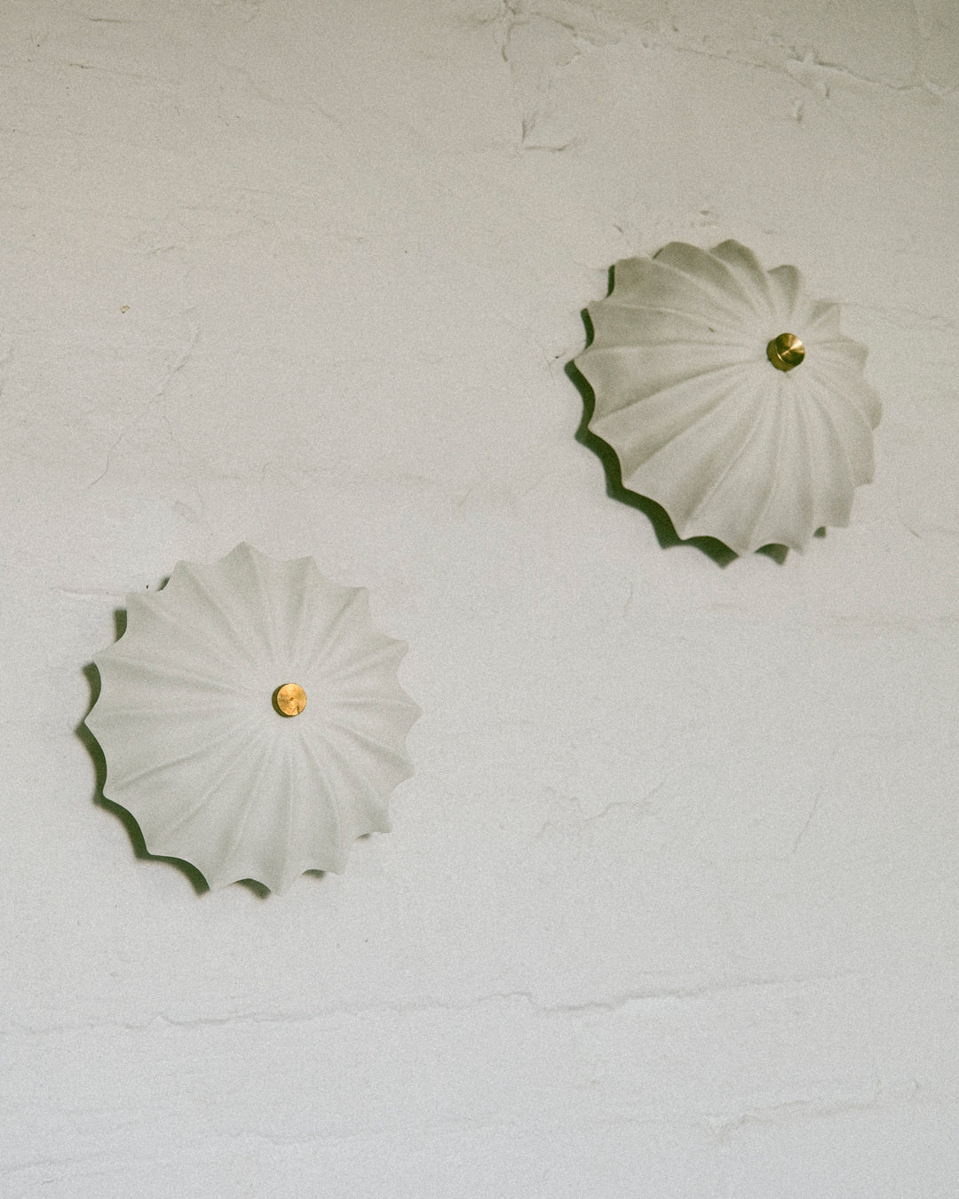 Petite Hexacorallia Sconce