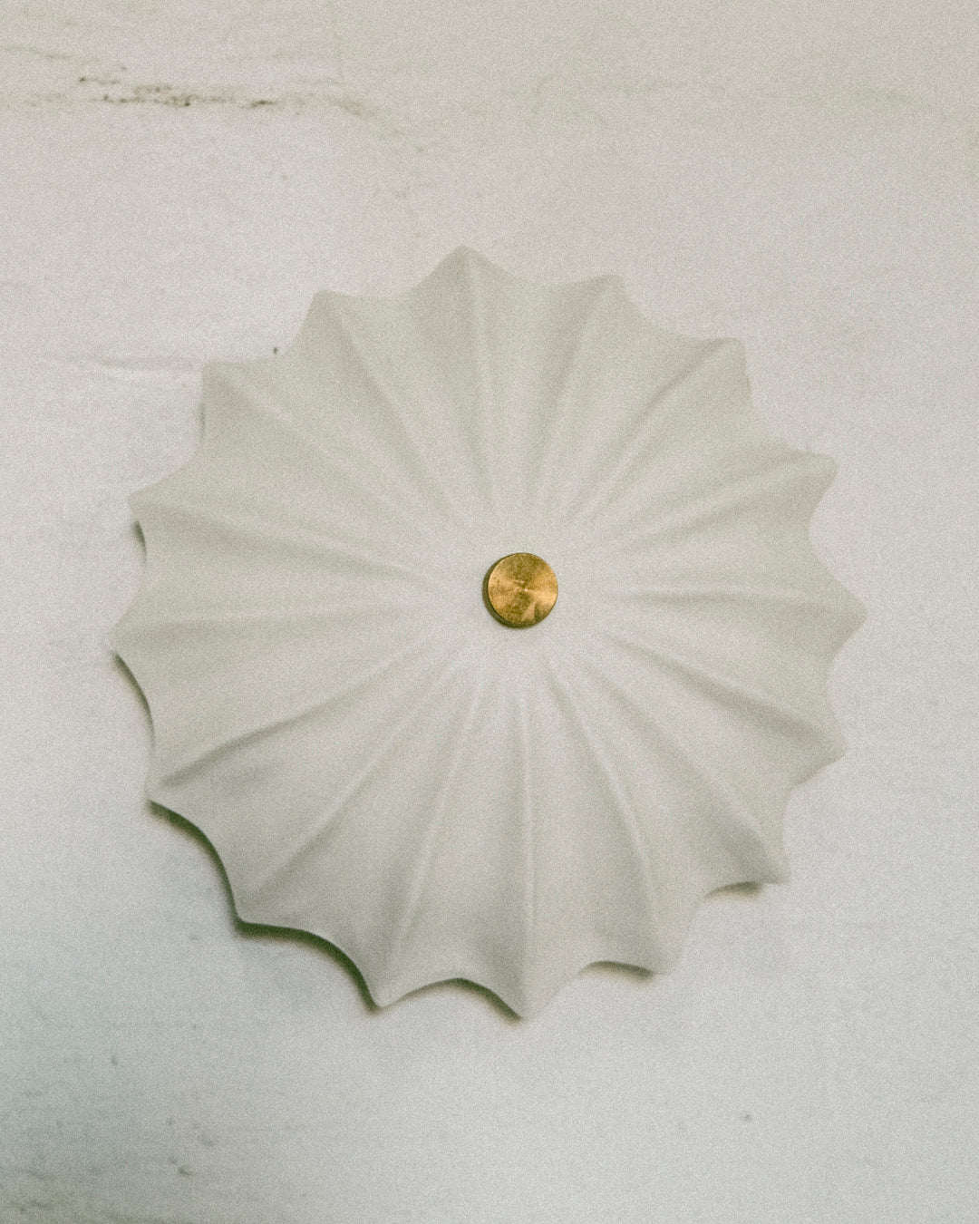 Petite Hexacorallia Sconce