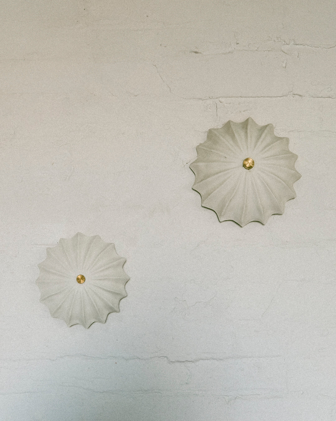 Petite Hexacorallia Sconce