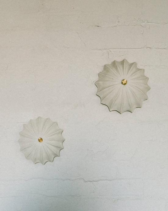 Petite Hexacorallia Sconce