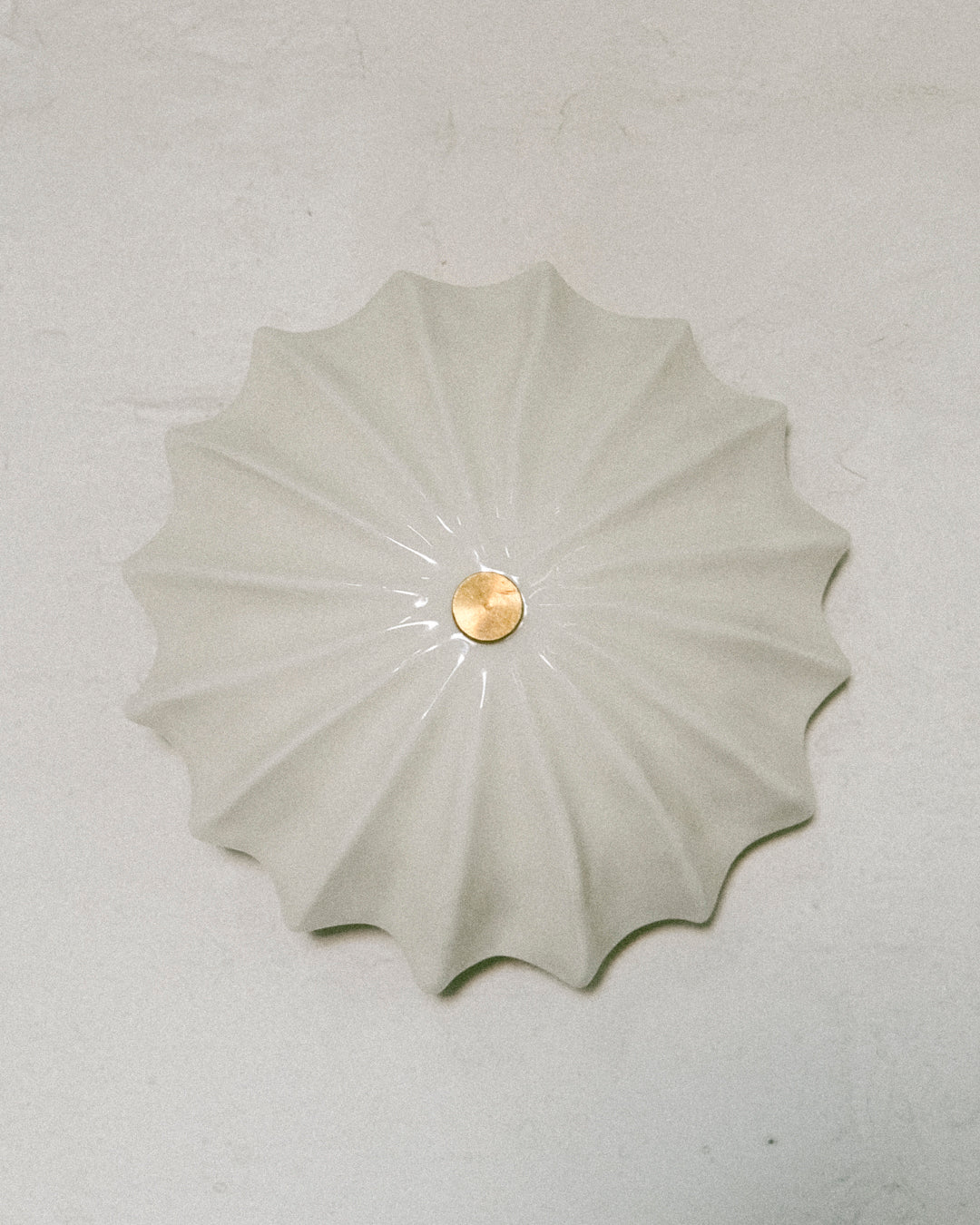 Petite Hexacorallia Sconce