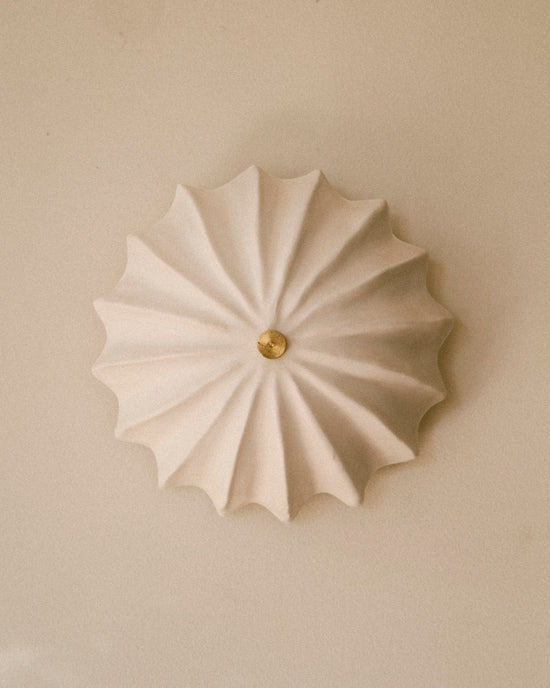 Hexacorallia Sconce
