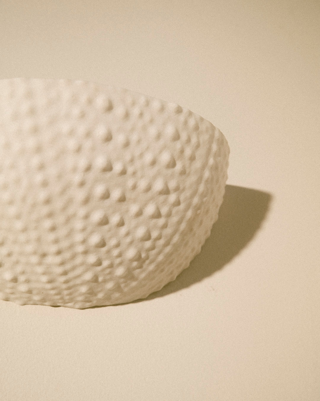 Urchin Sconce - Preorder
