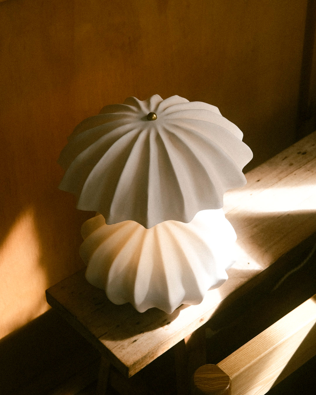 Hexacorallia Table Lamp