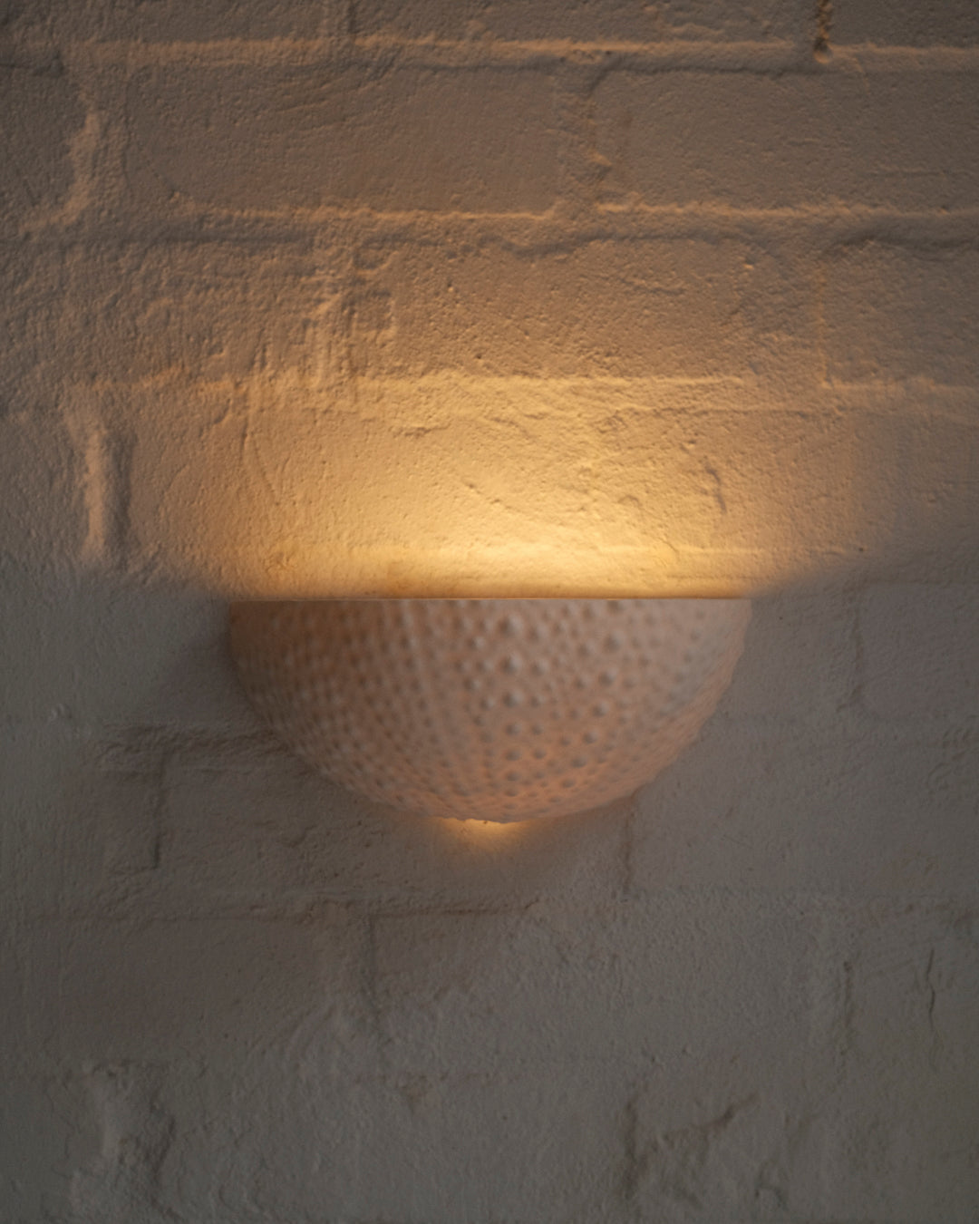 Urchin Sconce - Preorder