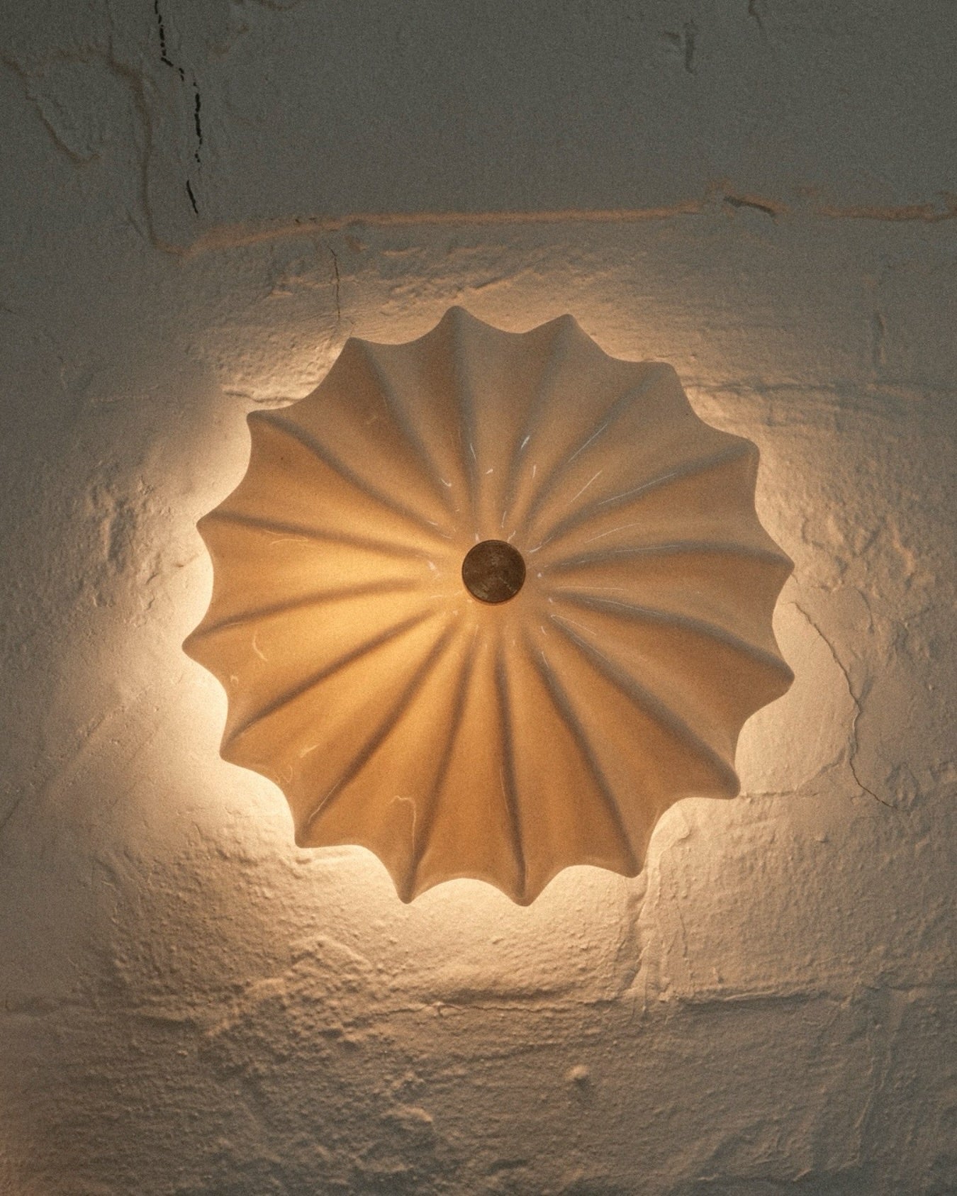 Hexacorallia Sconce - Preorder