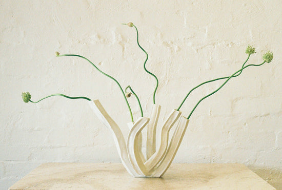 Vase II - Intertidal Series