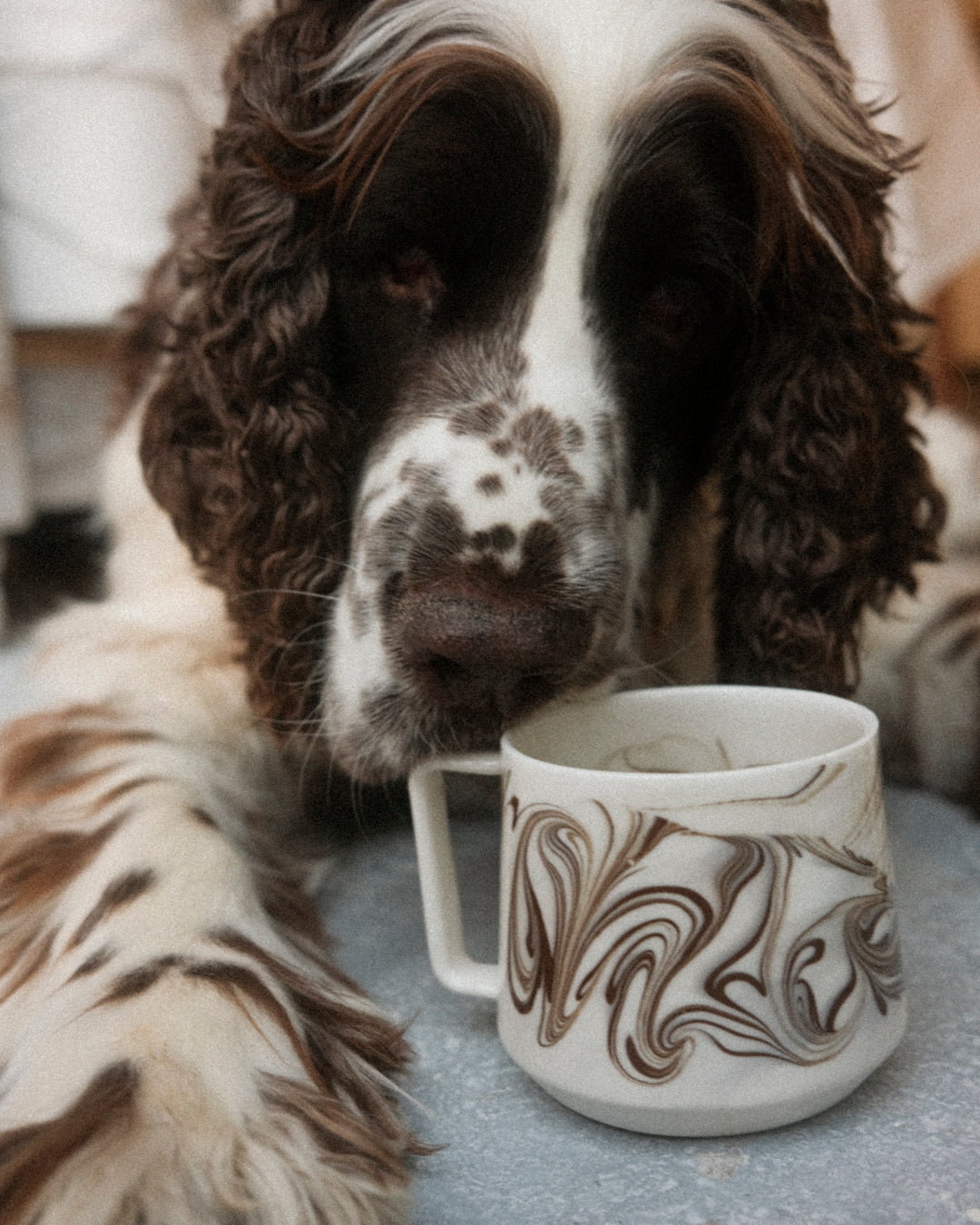Choc Brown Marbled Forma Mug