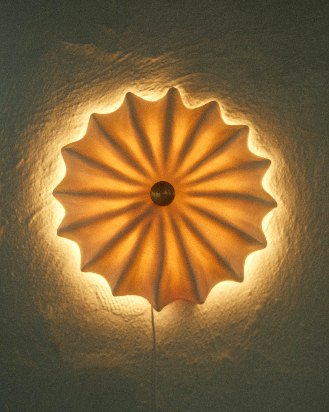 Hexacorallia Wired Sconce - USB Cable