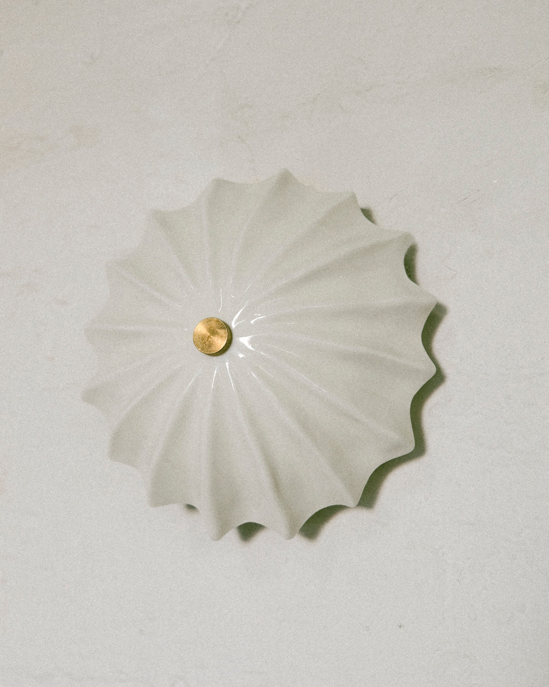 Petite Hexacorallia Sconce