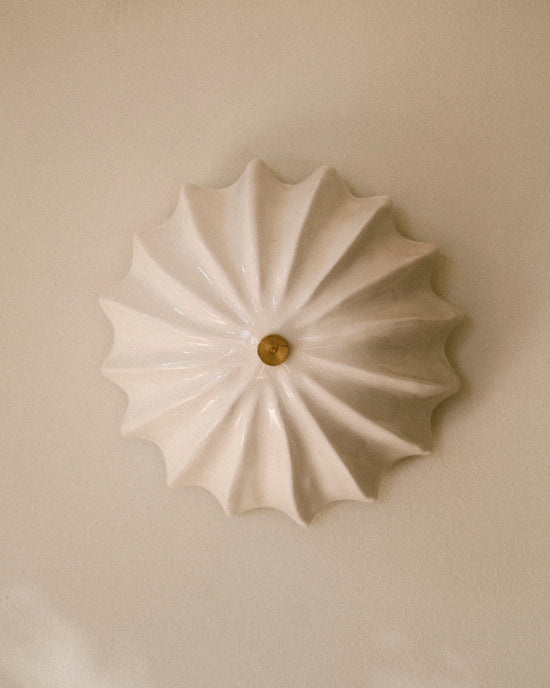 Hexacorallia Sconce - Gloss Glaze