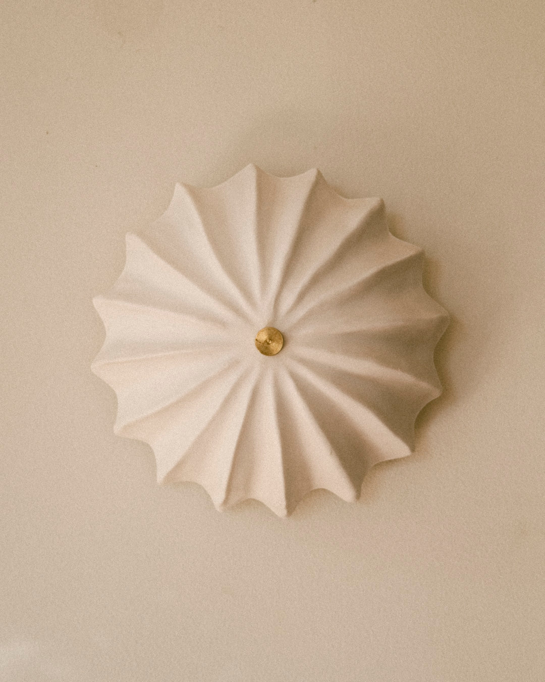 Hexacorallia Sconce