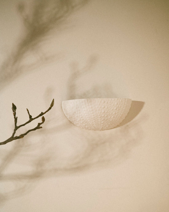 Urchin Sconce - Preorder