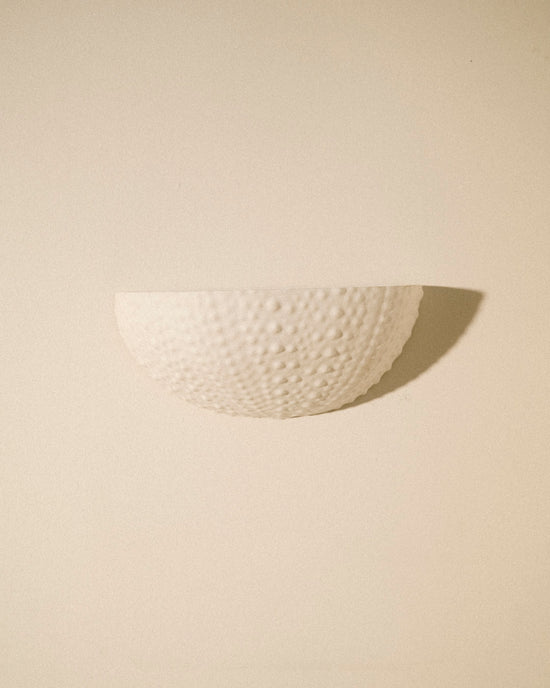 Urchin Sconce - Preorder