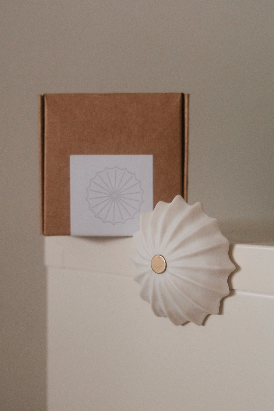 Mini Hexacorallia Magnet