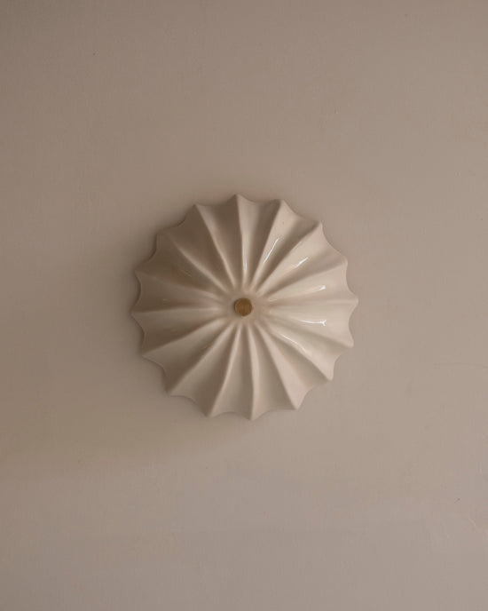 Hexacorallia Sconce - Gloss Glaze