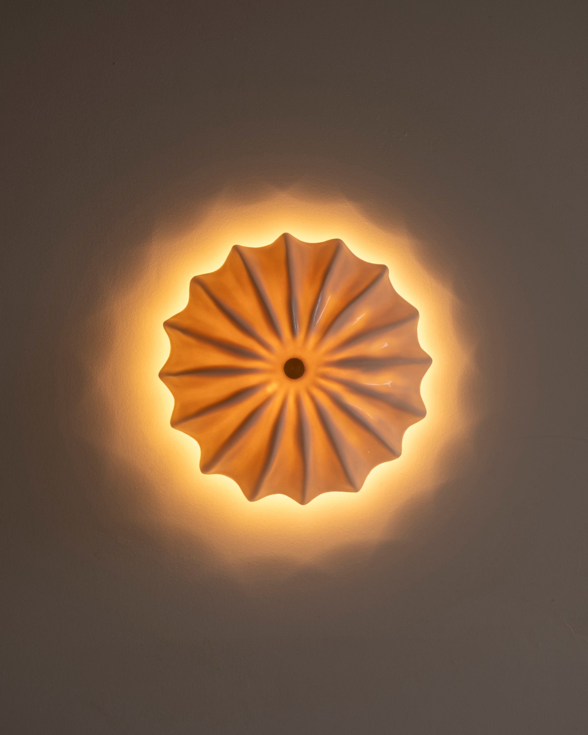 Hexacorallia Sconce - Gloss Glaze