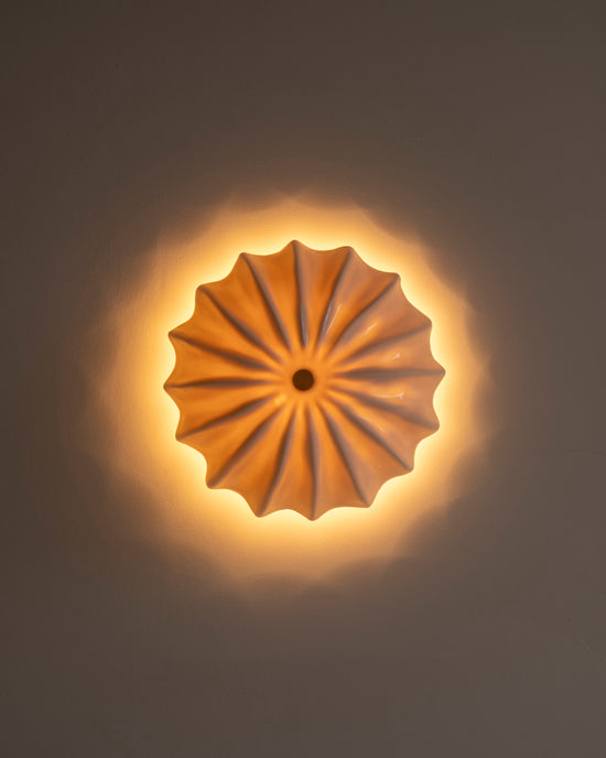 Hexacorallia Sconce - Gloss Glaze