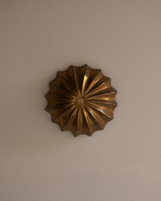 Hexacorallia Sconce - Brass