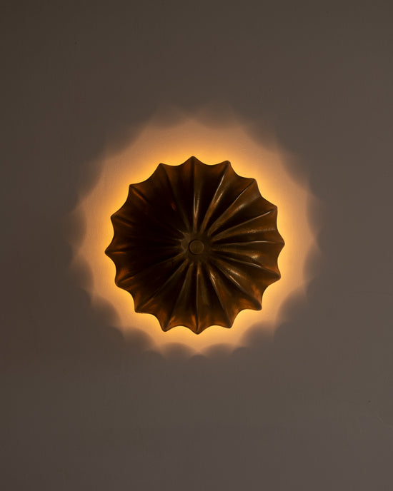 Hexacorallia Sconce - Brass