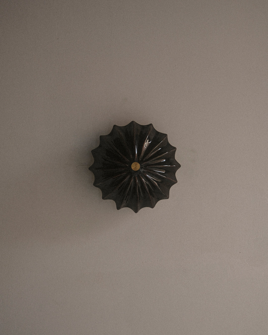 Petite Hexacorallia Sconce - Tenmoku