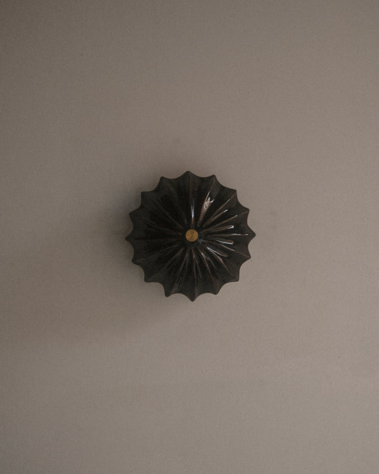 Petite Hexacorallia Sconce - Tenmoku