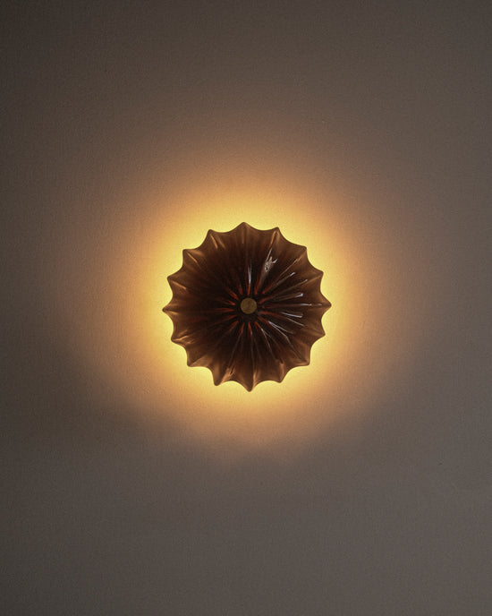 Petite Hexacorallia Sconce - Tenmoku
