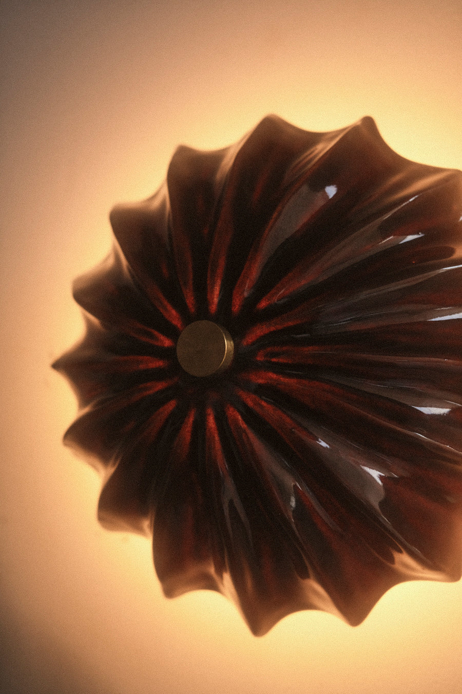Petite Hexacorallia Sconce - Tenmoku