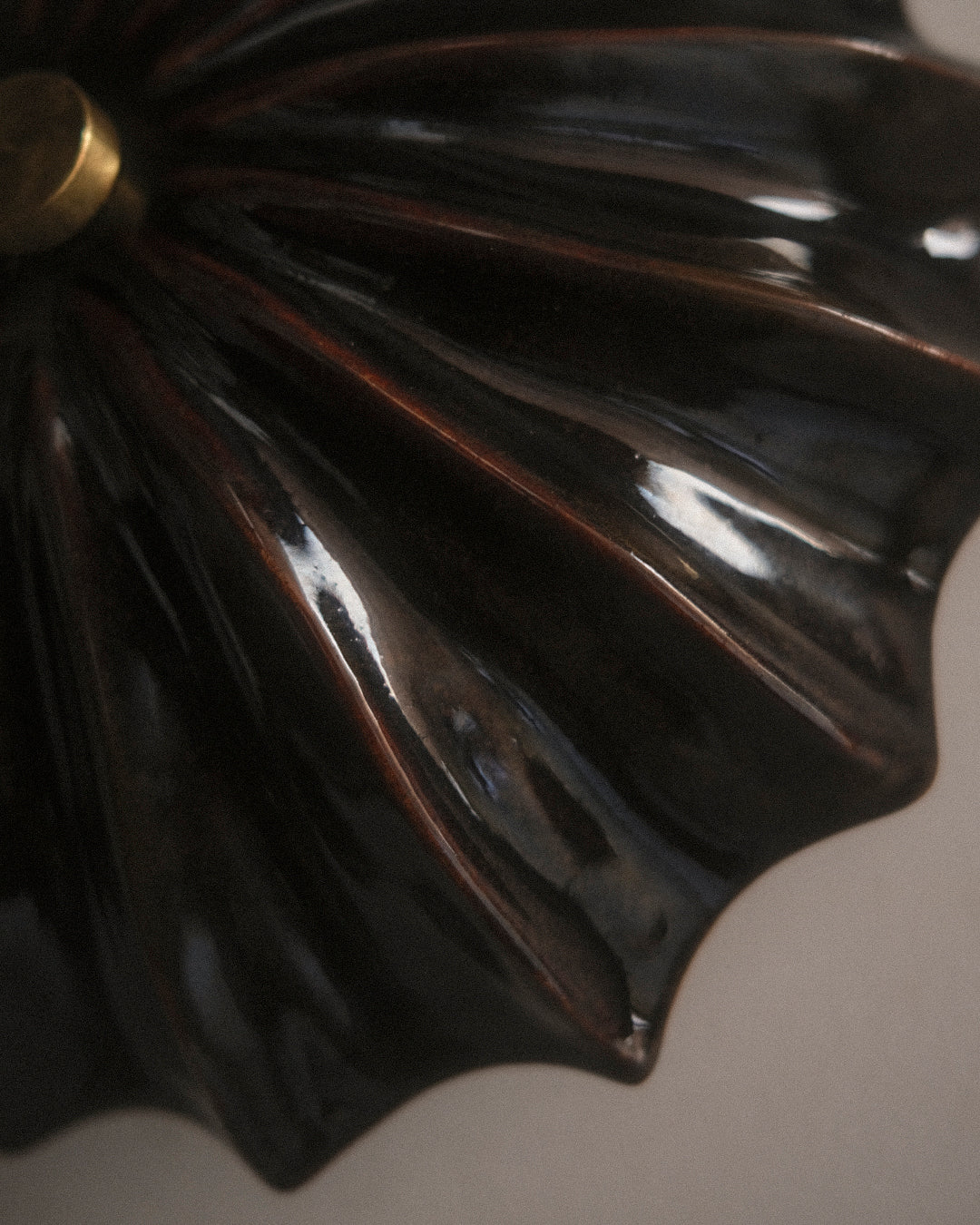 Petite Hexacorallia Sconce - Tenmoku