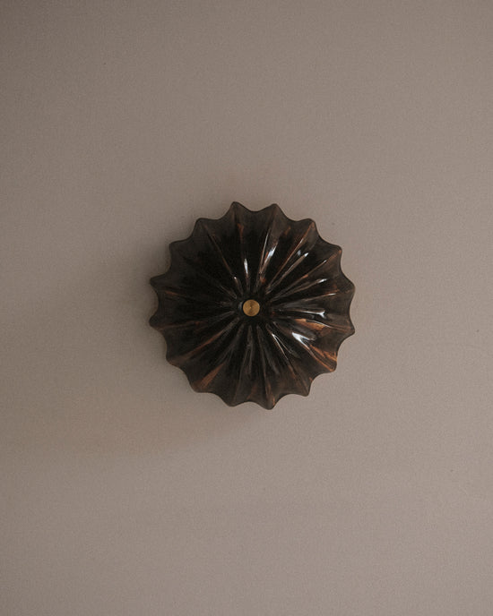Hexacorallia Sconce - Tenmoku
