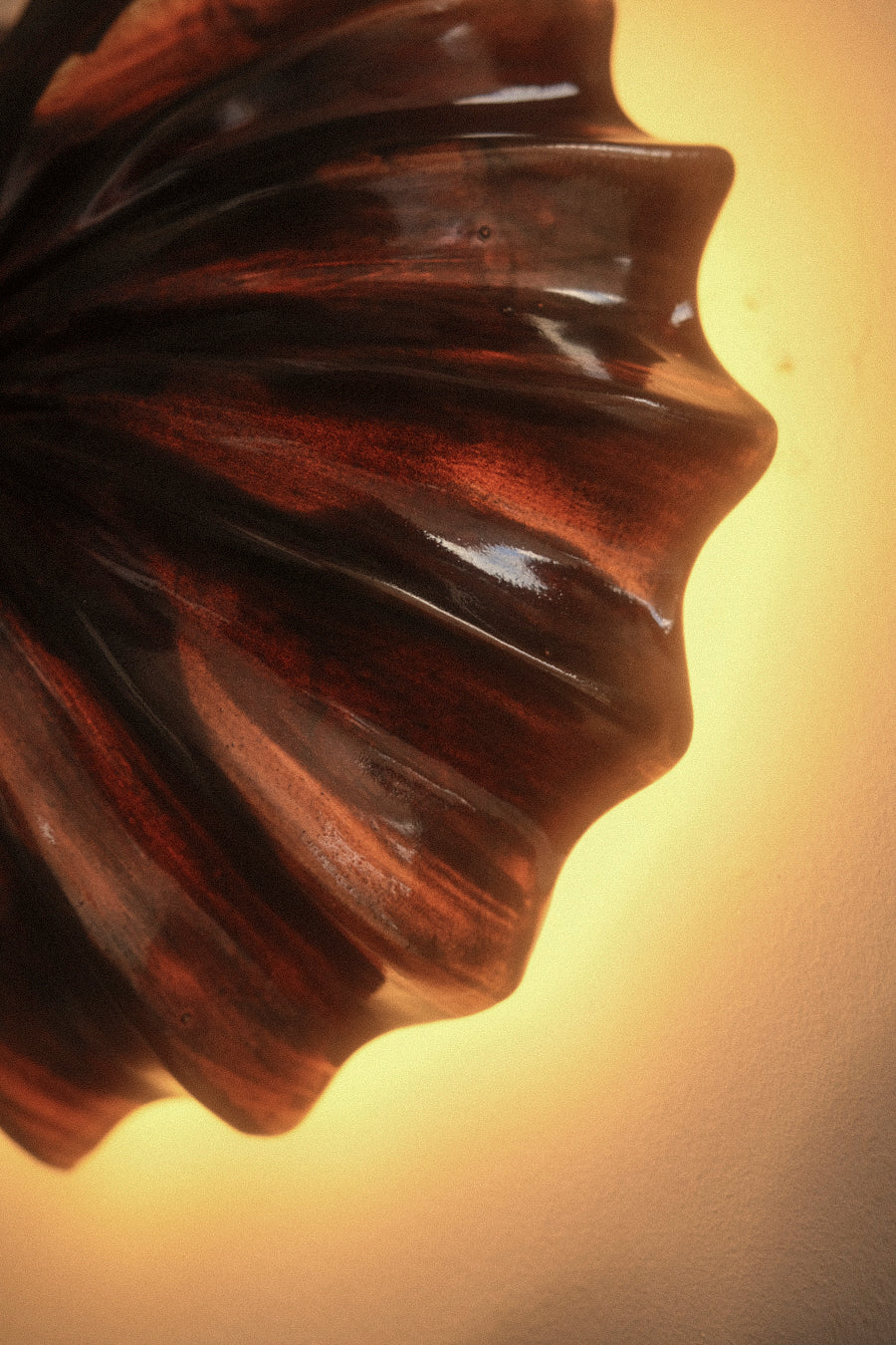 Hexacorallia Sconce - Tenmoku