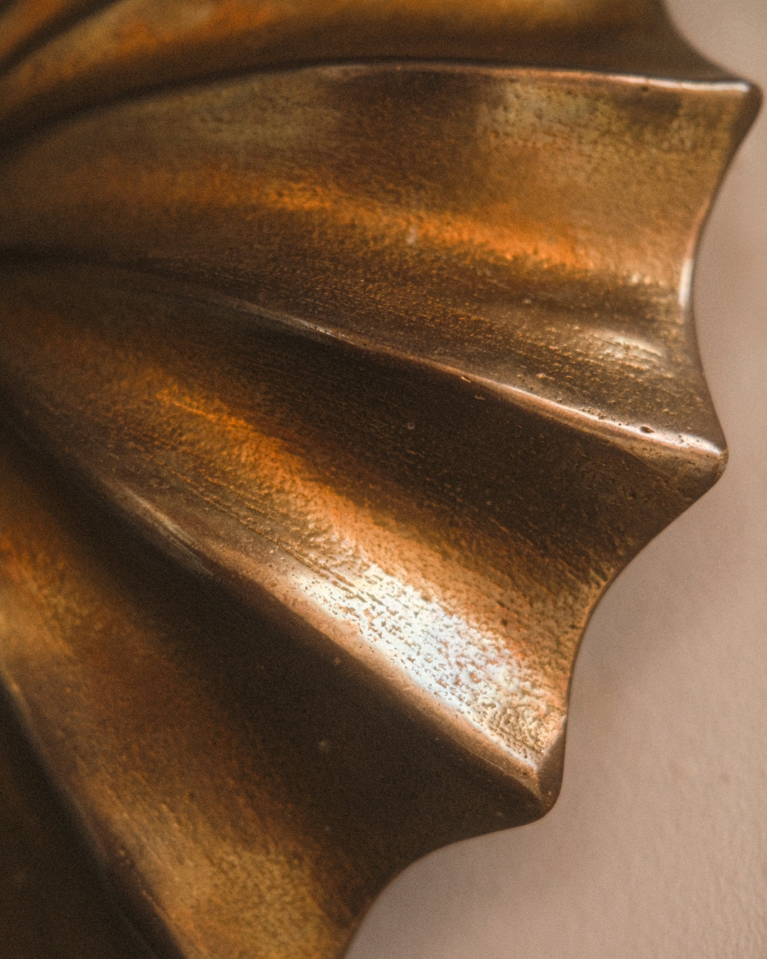 Hexacorallia Sconce - Brass