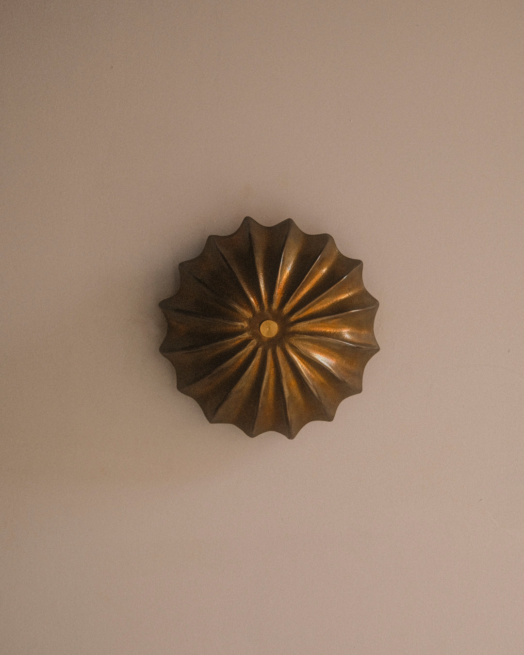 Hexacorallia Sconce - Brass