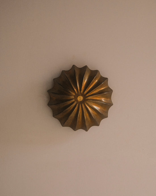 Hexacorallia Sconce - Brass
