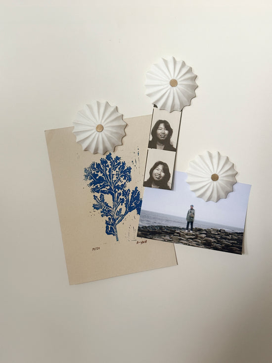 Mini Hexacorallia Magnet