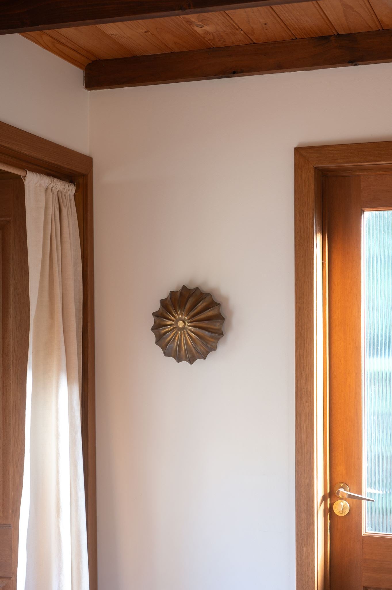 Hexacorallia Sconce - Brass