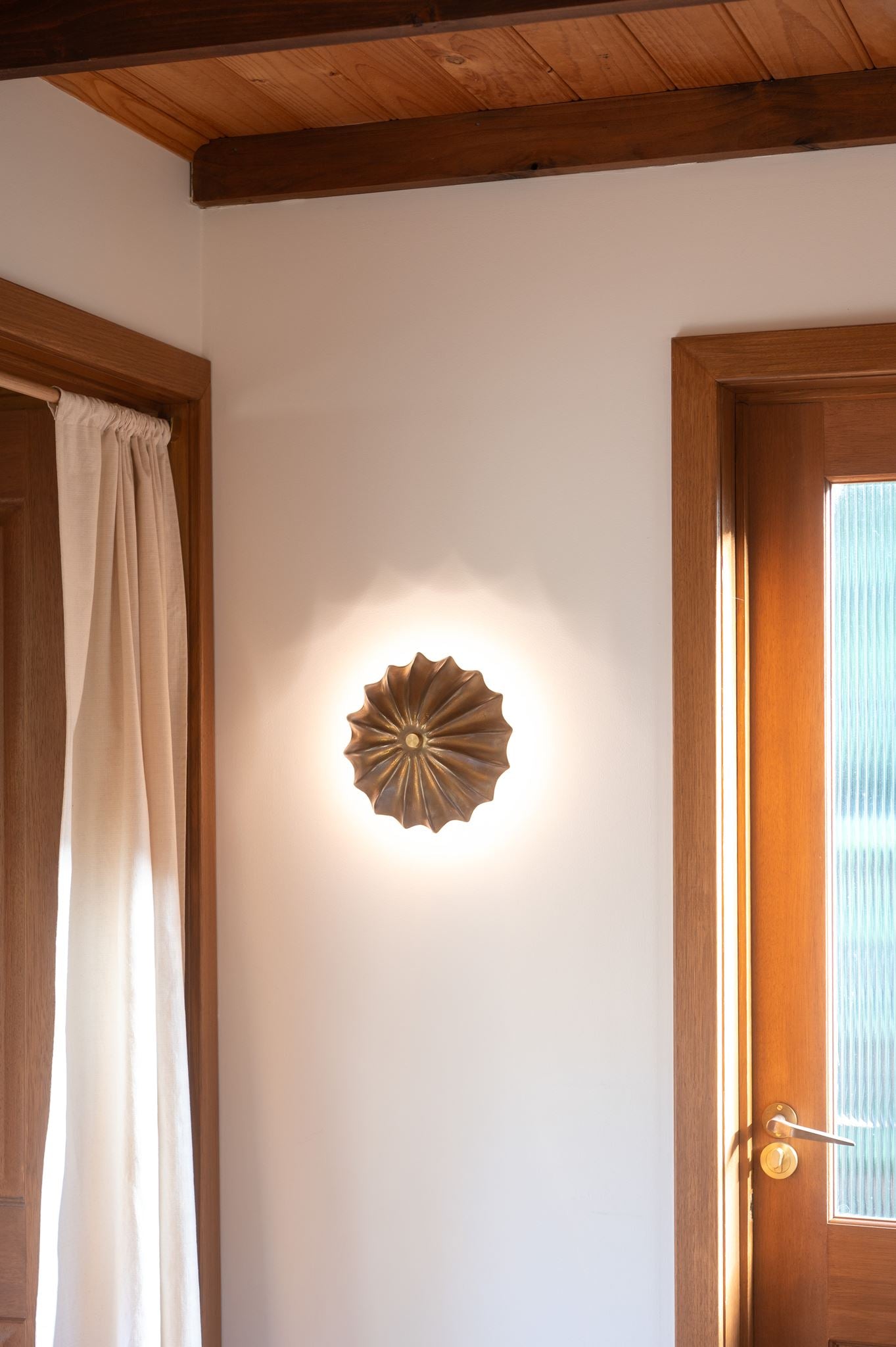 Hexacorallia Sconce - Brass