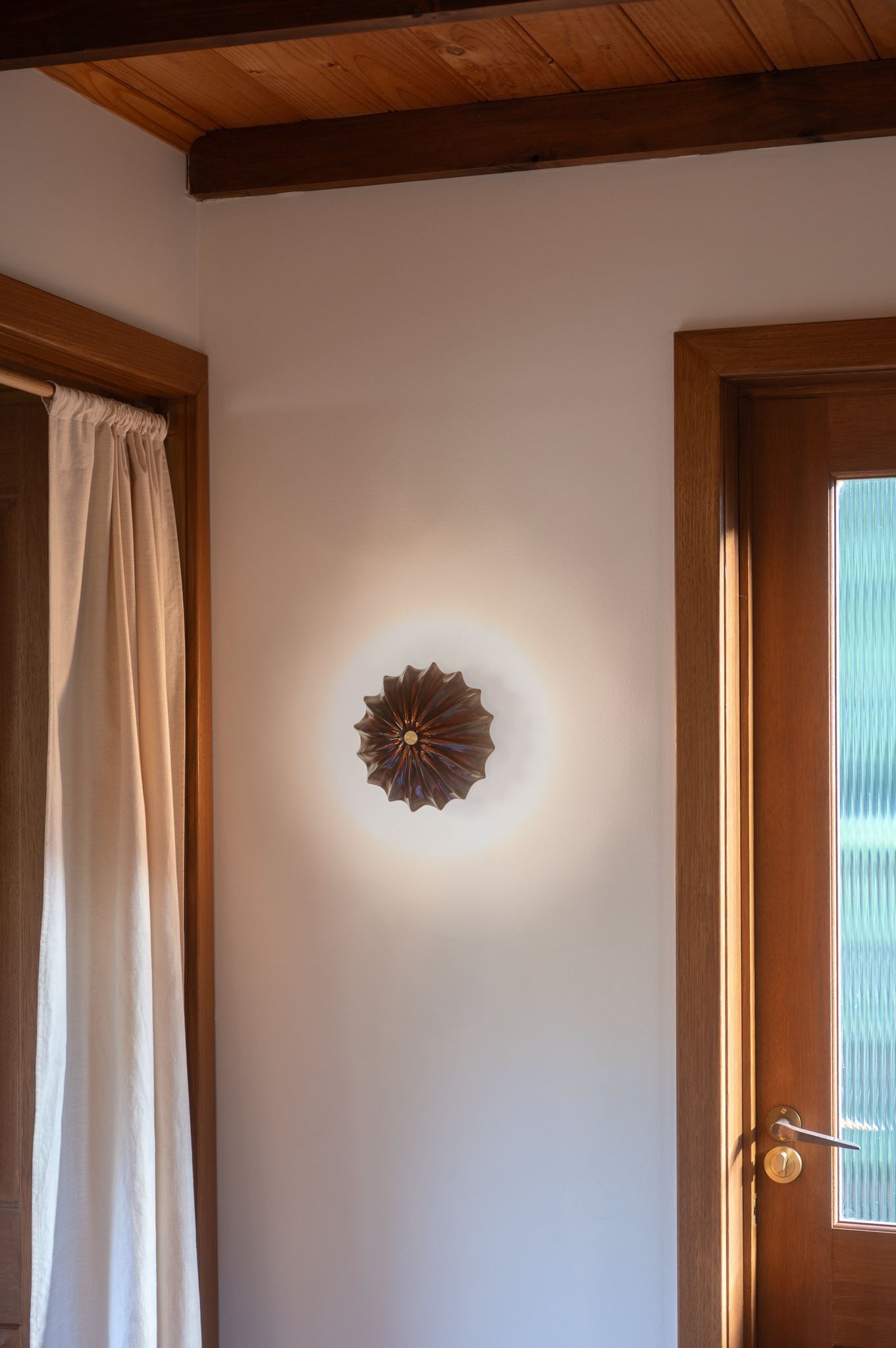 Petite Hexacorallia Sconce - Tenmoku