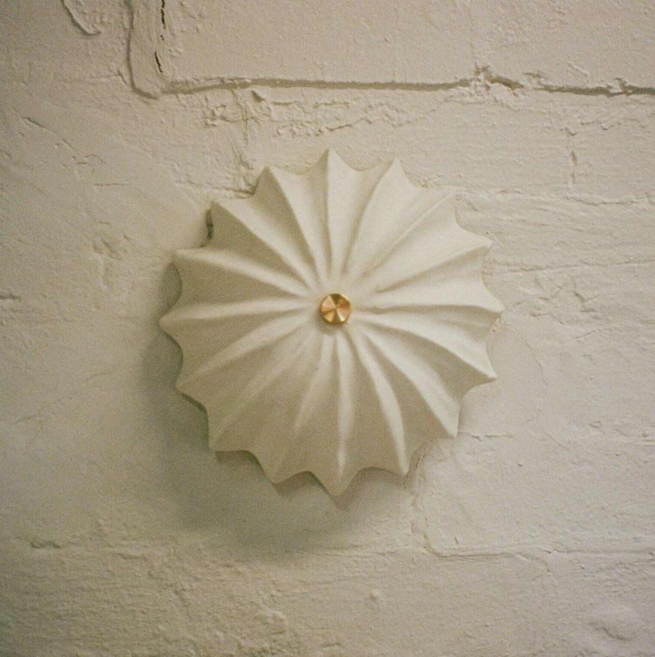 Hexacorallia Sconce | Sale