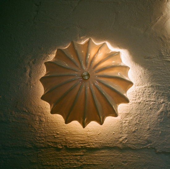 Hexacorallia Sconce | Sale