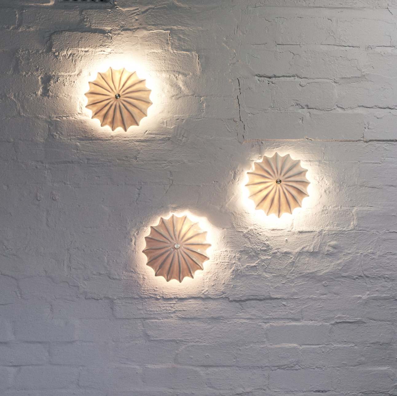 Hexacorallia Sconce | Sale