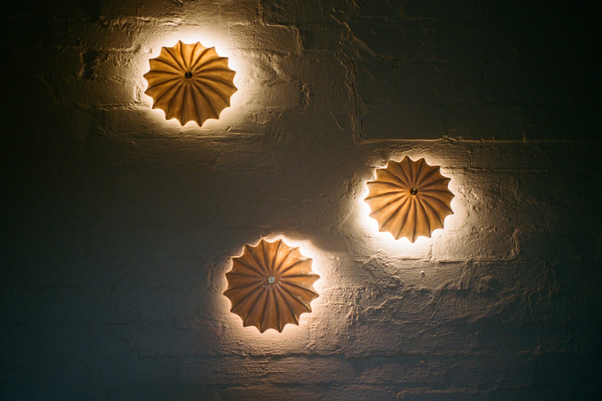 Hexacorallia Sconce