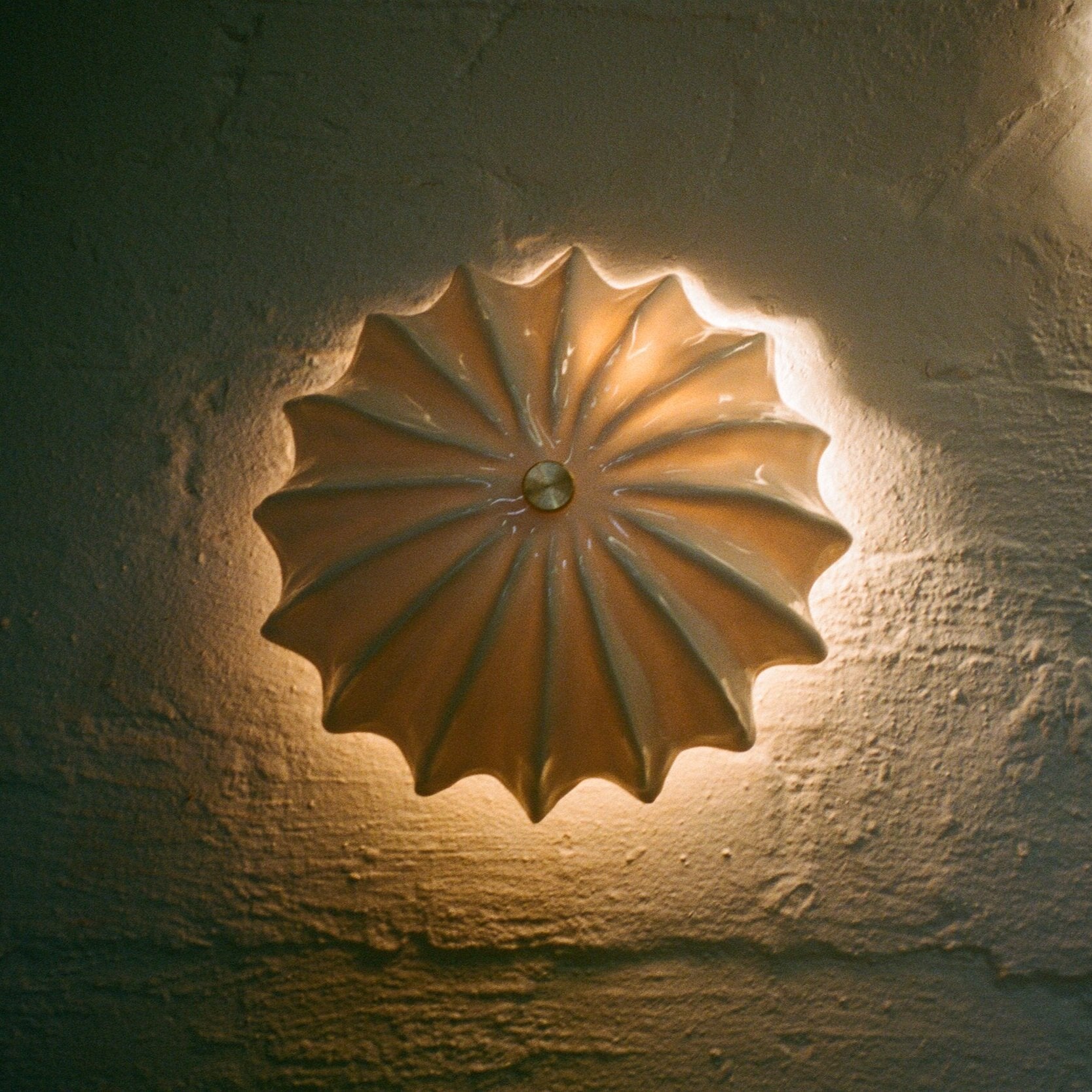 Hexacorallia Sconce