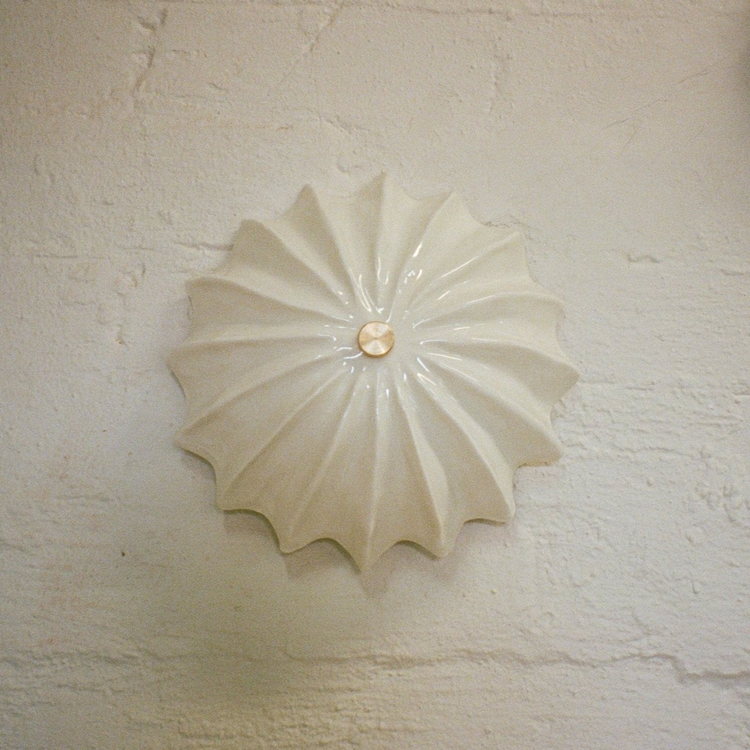 Hexacorallia Sconce