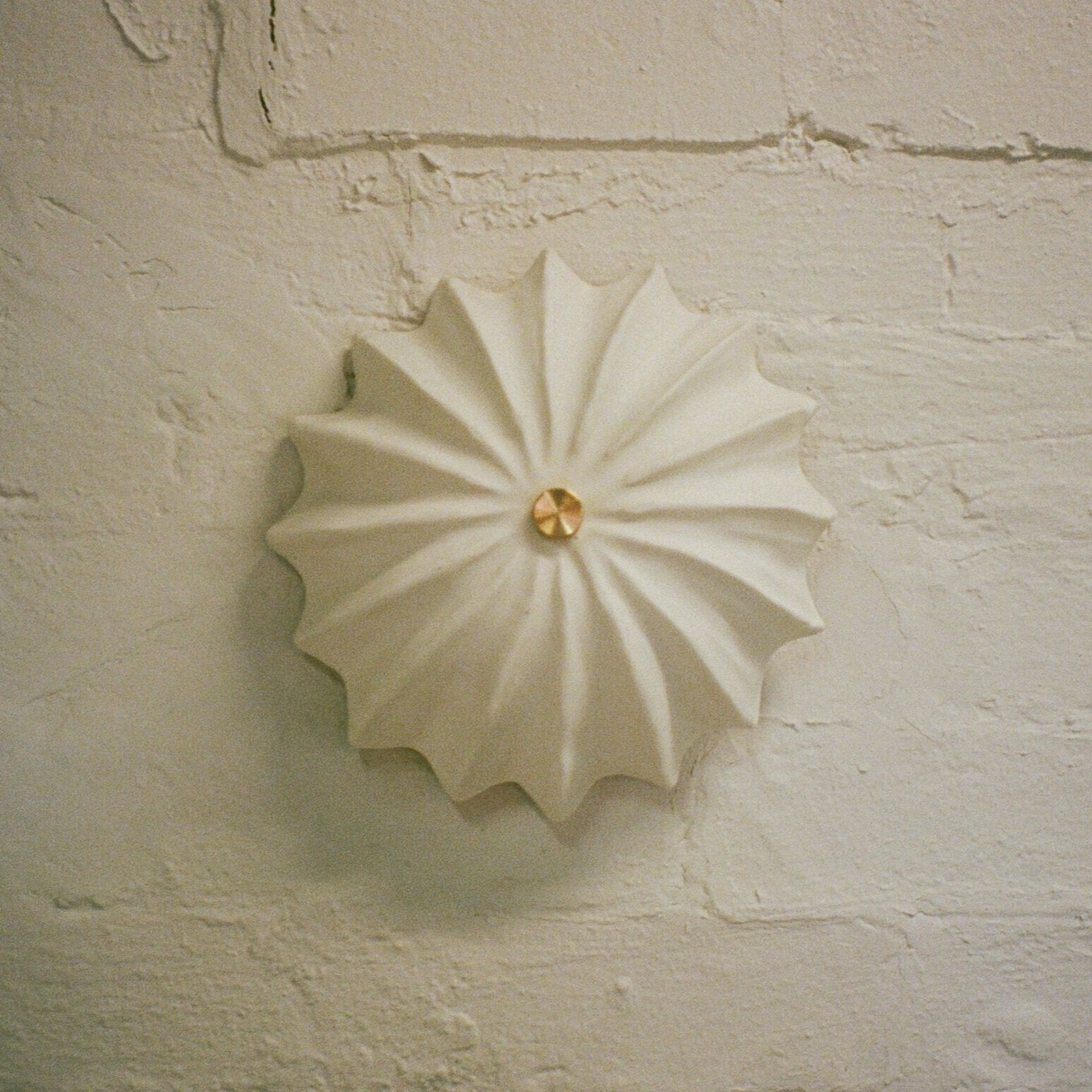 Hexacorallia Sconce